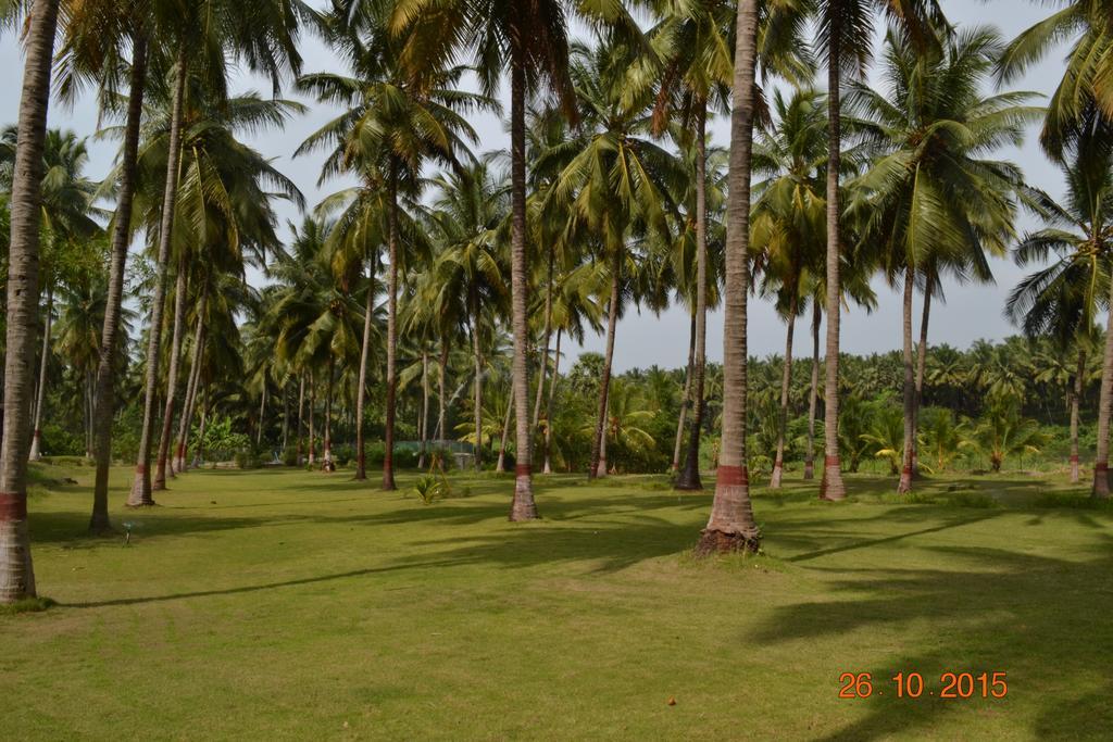 Ambrra River Resort Pollāchi Exterior photo