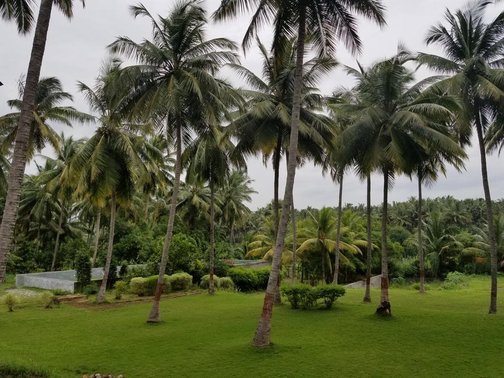 Ambrra River Resort Pollāchi Exterior photo