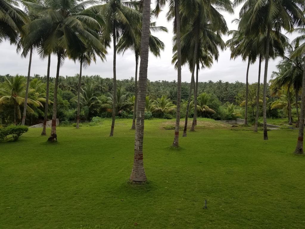 Ambrra River Resort Pollāchi Exterior photo